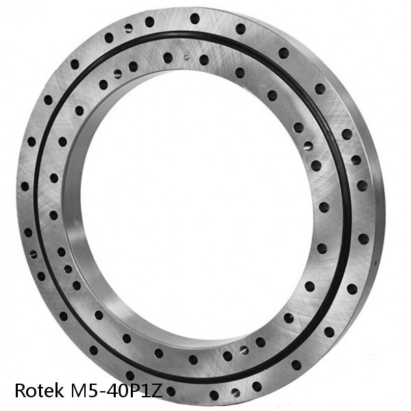 M5-40P1Z Rotek Slewing Ring Bearings