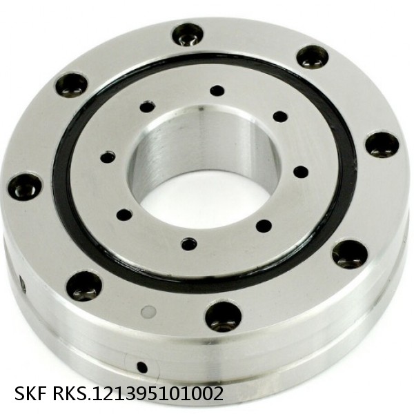 RKS.121395101002 SKF Slewing Ring Bearings