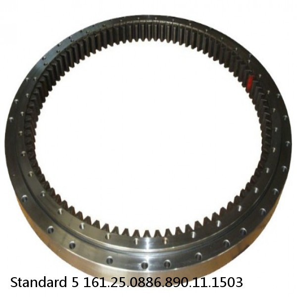 161.25.0886.890.11.1503 Standard 5 Slewing Ring Bearings