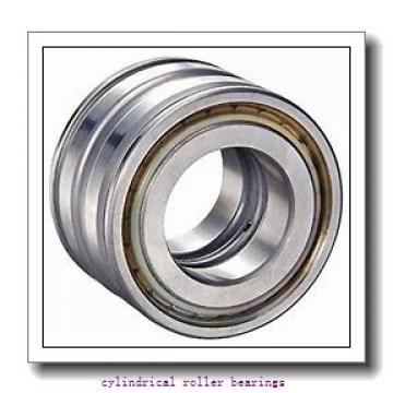 1.969 Inch | 50 Millimeter x 4.331 Inch | 110 Millimeter x 1.063 Inch | 27 Millimeter  LINK BELT MS1310EXW1  Cylindrical Roller Bearings