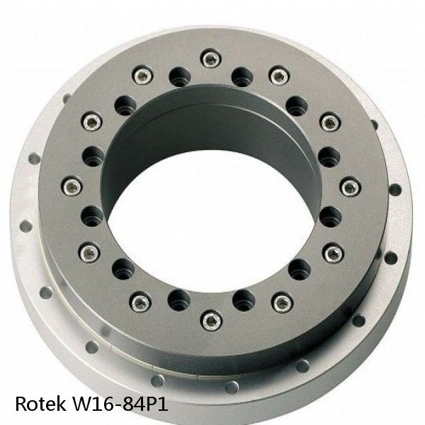 W16-84P1 Rotek Slewing Ring Bearings #1 small image
