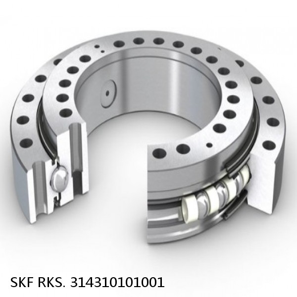 RKS. 314310101001 SKF Slewing Ring Bearings #1 small image