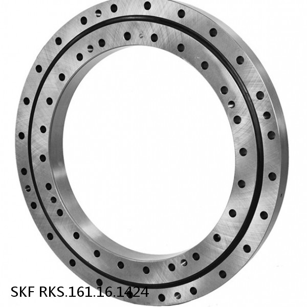 RKS.161.16.1424 SKF Slewing Ring Bearings #1 small image