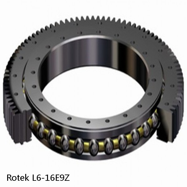 L6-16E9Z Rotek Slewing Ring Bearings #1 small image