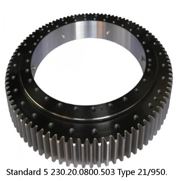 230.20.0800.503 Type 21/950. Standard 5 Slewing Ring Bearings #1 small image