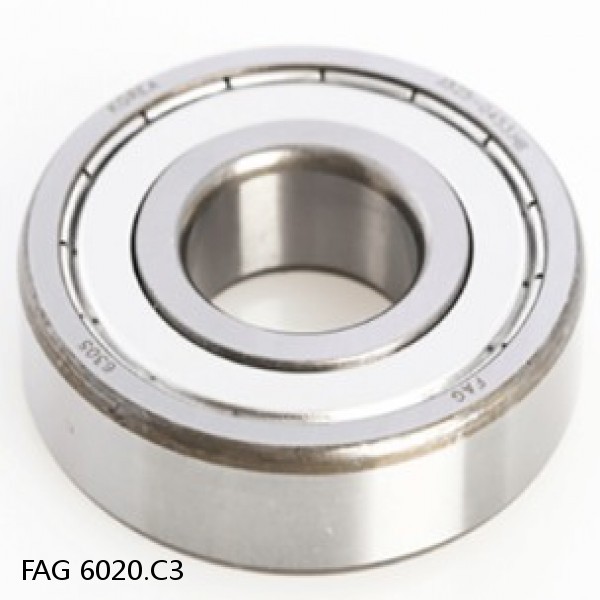 6020.C3 FAG Deep Groove Ball Bearings #1 small image