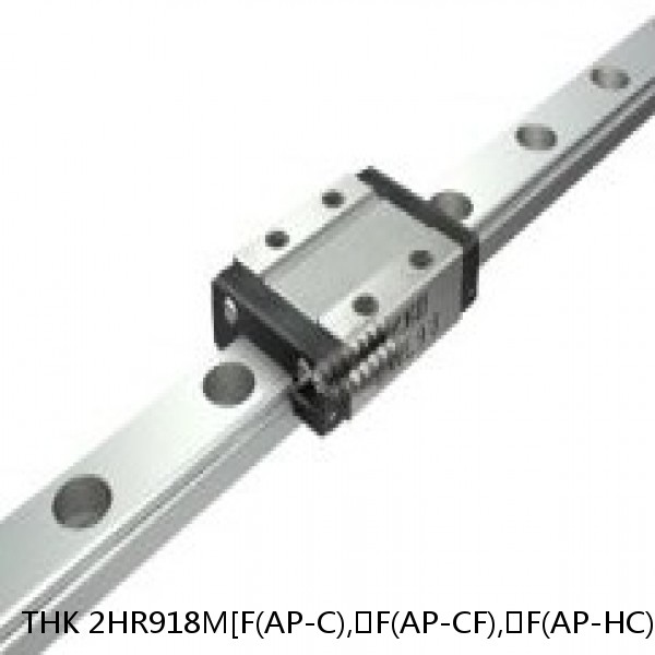 2HR918M[F(AP-C),​F(AP-CF),​F(AP-HC)]+[46-300/1]L[F(AP-C),​F(AP-CF),​F(AP-HC)]M THK Separated Linear Guide Side Rails Set Model HR
