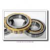 1.499 Inch | 38.062 Millimeter x 2.441 Inch | 62 Millimeter x 0.937 Inch | 23.812 Millimeter  LINK BELT M5206TV  Cylindrical Roller Bearings #1 small image