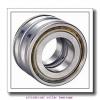 0.984 Inch | 25 Millimeter x 2.441 Inch | 62 Millimeter x 0.669 Inch | 17 Millimeter  LINK BELT MU1305TM  Cylindrical Roller Bearings #1 small image