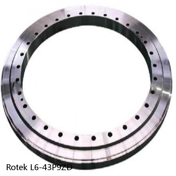 L6-43P9ZD Rotek Slewing Ring Bearings #1 small image