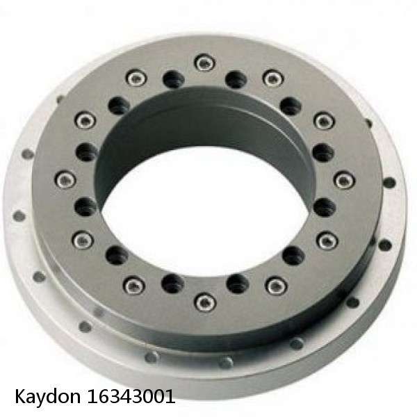 16343001 Kaydon Slewing Ring Bearings #1 small image