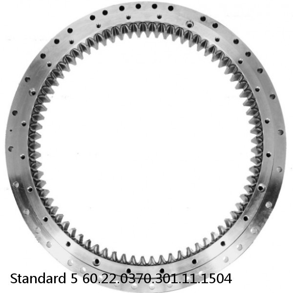60.22.0370.301.11.1504 Standard 5 Slewing Ring Bearings #1 small image