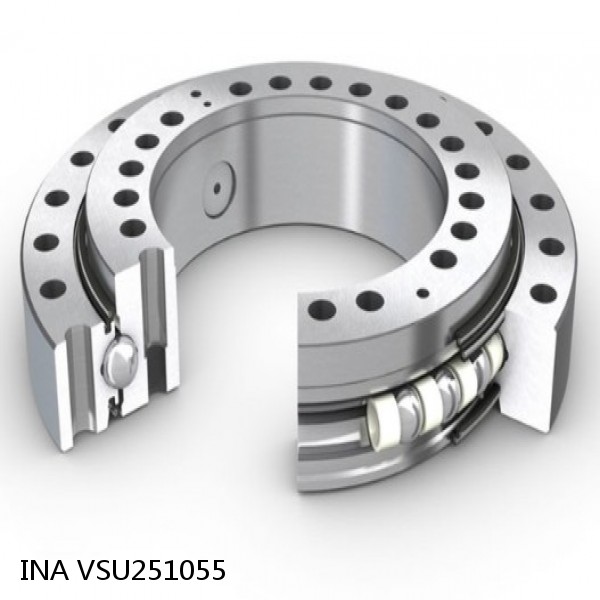VSU251055 INA Slewing Ring Bearings #1 image