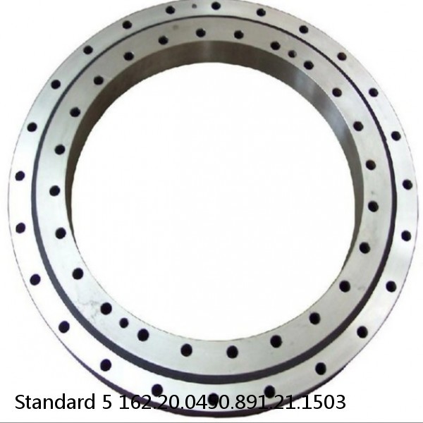 162.20.0450.891.21.1503 Standard 5 Slewing Ring Bearings #1 image