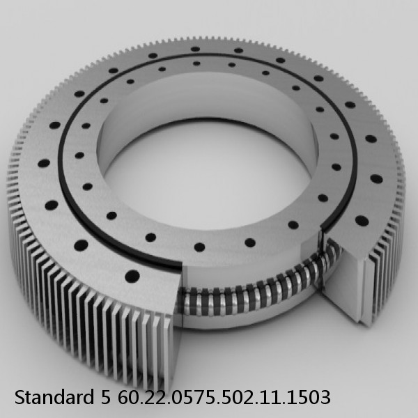 60.22.0575.502.11.1503 Standard 5 Slewing Ring Bearings #1 image