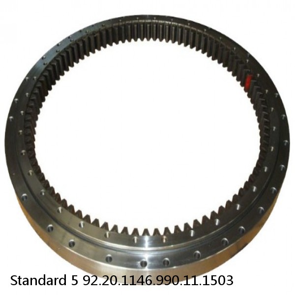 92.20.1146.990.11.1503 Standard 5 Slewing Ring Bearings #1 image