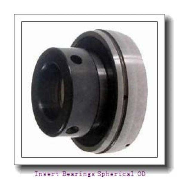 DODGE INS-GT-100-CR  Insert Bearings Spherical OD #2 image
