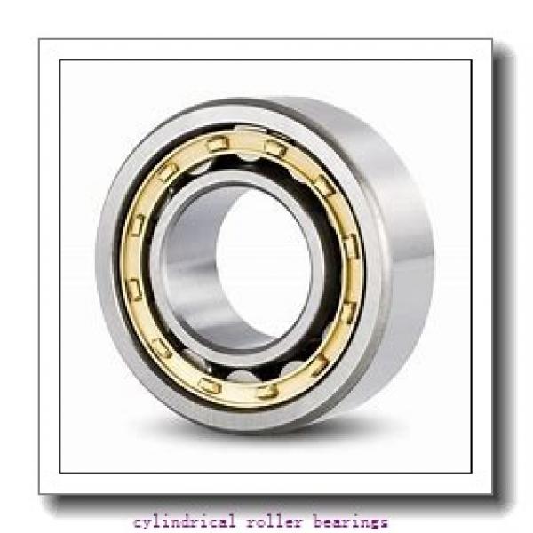 1.181 Inch | 30 Millimeter x 2.835 Inch | 72 Millimeter x 0.748 Inch | 19 Millimeter  LINK BELT MU1306UV  Cylindrical Roller Bearings #1 image