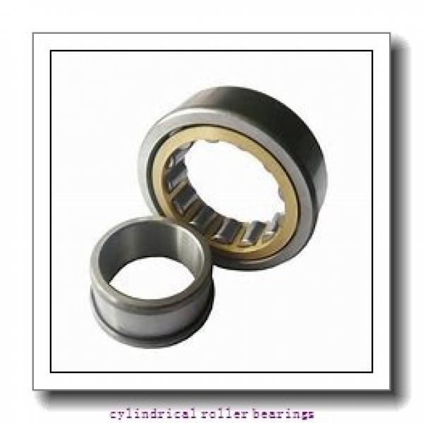 1.969 Inch | 50 Millimeter x 4.331 Inch | 110 Millimeter x 1.063 Inch | 27 Millimeter  LINK BELT MS1310EXW1  Cylindrical Roller Bearings #2 image