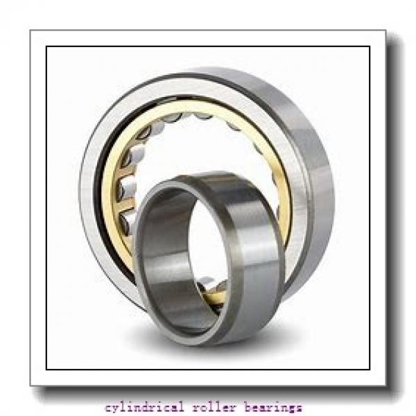 1.181 Inch | 30 Millimeter x 2.835 Inch | 72 Millimeter x 0.748 Inch | 19 Millimeter  LINK BELT MU1306UV  Cylindrical Roller Bearings #2 image