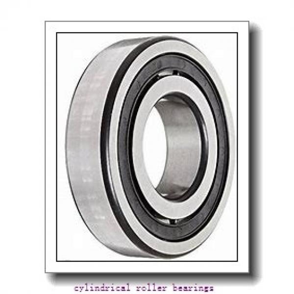 1.772 Inch | 45 Millimeter x 3.937 Inch | 100 Millimeter x 0.984 Inch | 25 Millimeter  LINK BELT MA1309EXC1222  Cylindrical Roller Bearings #2 image
