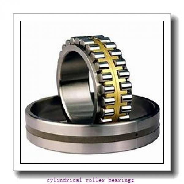 1.181 Inch | 30 Millimeter x 2.835 Inch | 72 Millimeter x 0.748 Inch | 19 Millimeter  LINK BELT MA1306UV  Cylindrical Roller Bearings #2 image