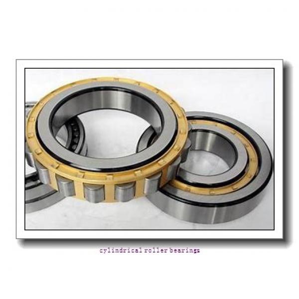 1.772 Inch | 45 Millimeter x 3.937 Inch | 100 Millimeter x 0.984 Inch | 25 Millimeter  LINK BELT MA1309EXC1222  Cylindrical Roller Bearings #1 image