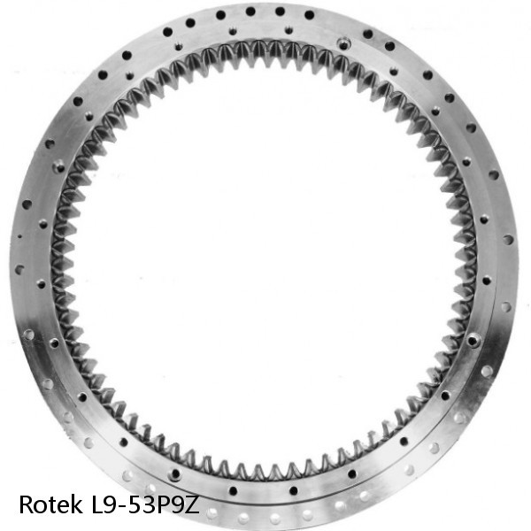 L9-53P9Z Rotek Slewing Ring Bearings #1 image